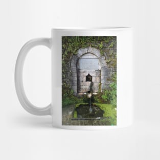 Abandoned Ablutions Fountain Mug